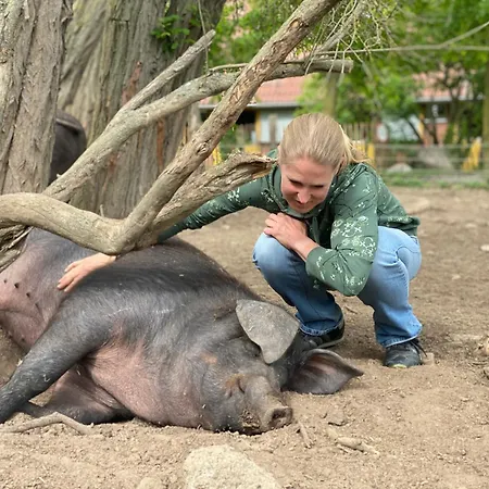 Pferdehof Ruhnau Appartement Pinnow (Ludwigslust-Parchim)