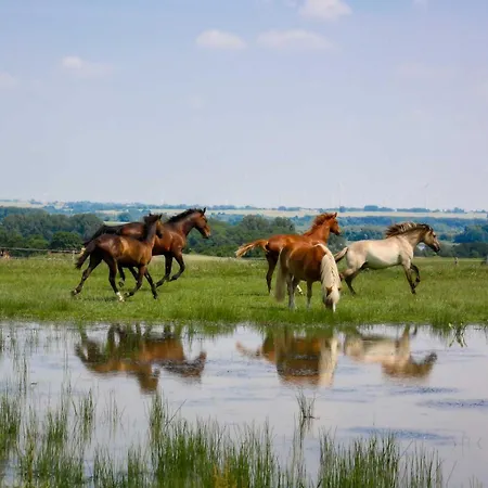 Lägenhet Pferdehof Ruhnau *
